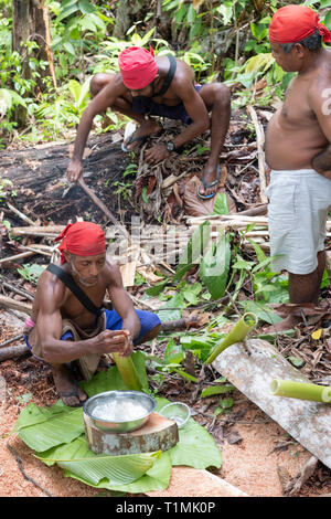 Indigene Nuaulu Alfur Menschen der Gruppe, die ein traditionelles Erde Backofen, Seram Insel, Molukken, Indonesien Stockfoto