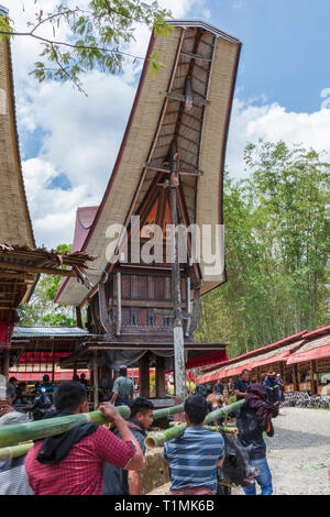 Ein Trauerzug und Ritual in einem Dorf in Tana Toraja, Sulawesi, Indonesien Stockfoto