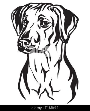 Dekorative Umrisse Portrait von Rhodesian Ridgeback Hund suchen im Profil, Vector Illustration in schwarzer Farbe auf weißem Hintergrund. Bild für Stock Vektor