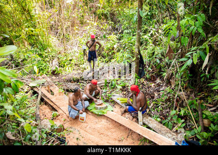 Indigene Alfur Jäger der Nuaulu Gruppe, die eine Erde Backofen im Regenwald, Insel Seram, Molukken, Indonesien Stockfoto