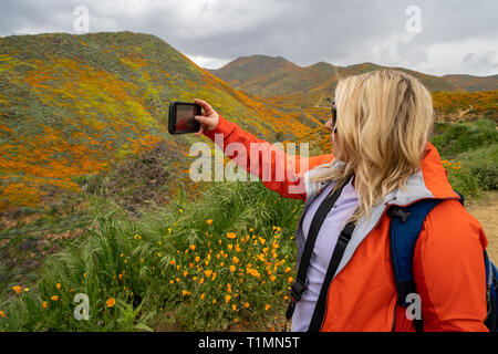 Blonde Frau Wanderer nimmt eine selfie mit einem Mobiltelefon während Walker Canyon, genießen die Kalifornischen Mohn superbloom Stockfoto