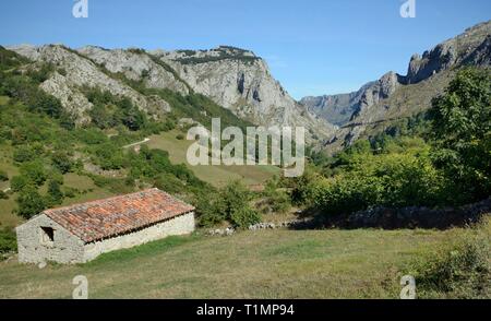 Die traditionelle Viehzucht Scheune oder "ajada', Invernales del Texu, Rio Duje Tal, in der Nähe von Sotres, Picos de Europa, Asturien, Spanien, August. Stockfoto