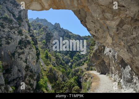 Cares Schlucht mit überhängenden Felsen und 800 m neben dem Weg in den Plätzen, Picos de Europa Berge, Asturien, Spanien, August 2016. Stockfoto