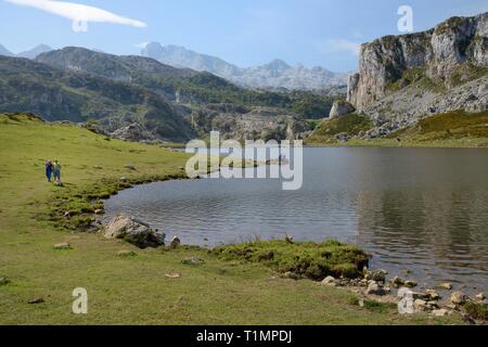 Wanderer am See Ercina, Seen von Covadonga, Picos de Europa, Asturien, Spanien, August. Stockfoto