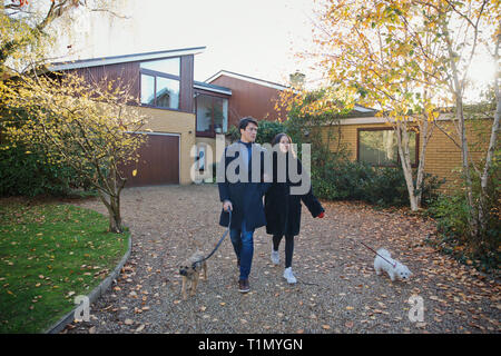 Paar Hunde im Herbst Auffahrt Stockfoto