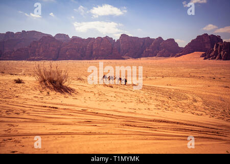 Wadi Rum, Jordanien. Spaziergänge Beduinen in der Wüste mit vier Kamele, Reifenspuren im Sand und Berge im Hintergrund. Stockfoto