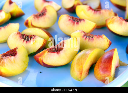 Frisches Obst bereit, für ihre Gesundheit, Eis, Cocktails, Aperitifs, Nachspeisen und Desserts vorzubereiten: Nektarine Stockfoto