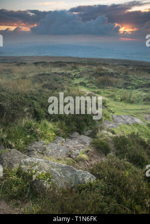 Ein Blick aus der Nähe des Gipfels von Abdon Burf auf Brown Clee Hill, dem höchsten Punkt in Shropshire, England, Großbritannien. Stockfoto