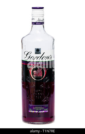 Die geöffnete Flasche von Gordon's Sloe Gin, ausgeschnitten oder auf einem weißen Hintergrund, UK isoliert. Stockfoto