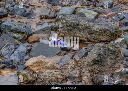 Irvine, Schottland, UK - 18. März 2019: Umwelt Bild von Abfällen mit Aluminium Red Bull Getränke können Sie sich am Strand in Irvine Scotlan verworfen Stockfoto