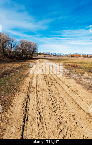 Schlammigen Spuren auf einer Ranch dirt road; Colorado; USA Stockfoto