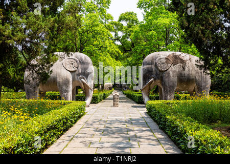 Elefant Statuen in den heiligen Weg in Ming Xiaoling Mausoleum, auf Zijin, Nanjing, Provinz Jiangsu, China. Ming Xiaoling Mausoleum ist UN Stockfoto