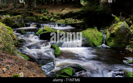 Erstaunlich kleinen Bach hinunter Cascading durch den Wald und über Moos bedeckt Felsbrocken Stockfoto