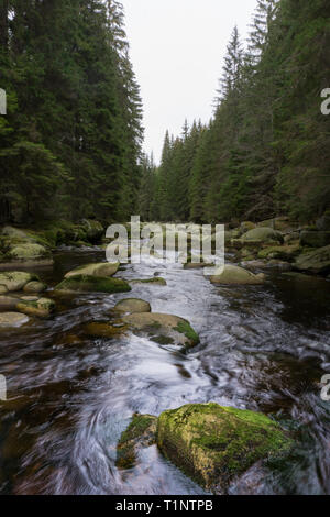 Schönen Fluss durch einen nördlichen Wald fließt Stockfoto