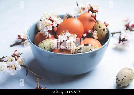 Eier und Niederlassungen in Blume, Osterferien Hintergrund Konzept Stockfoto