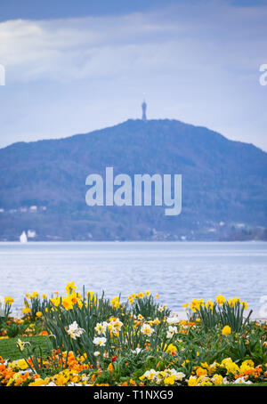 Blick vom Strand mit schönen Blumen in Klagenfurt über den Wörthersee zu Berg Pyramidenkogel mit Turm in Österreich Stockfoto