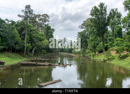 Künstliche Graben gegraben um den Angkor Thom (Bayon) Komplexe in Angkor in der Nähe von Siem Reap in Kambodscha Stockfoto