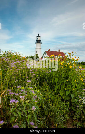 Wildblumen vor Portland Head Lighthouse, im Fort Williams Park, in Maine. Die Rundumleuchte ist der älteste Leuchtturm in Neu-England. Stockfoto