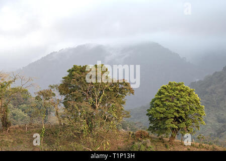 Wolken über dem Regenwald in Portobelo in Panama Stockfoto