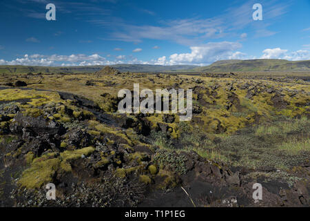 Sehr typische Ansicht der südlichen Island schwarz Rocky Lavaebenen, von Moos, Flechten, Heidelbeere und crowberry im Hintergrund können die alkoholgradation gesehen werden. Stockfoto