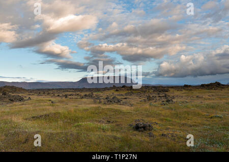 Wunderschöne Aussicht auf die atemberaubende vulkanische Landschaft von Bemoosten Eldhraun bei Sonnenaufgang in Island Stockfoto