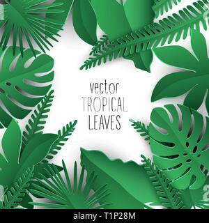 Vektor tropische Blätter Sammlung mit Schatten auf weißem Hintergrund. details für tropische Sommer Karten und Banner. Stock Vektor