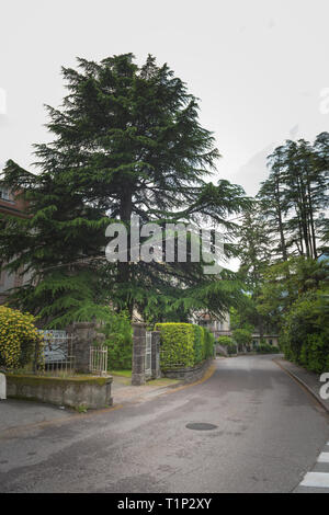 Suburban Wohnstraße mit roten Ziegeln Häuser Stockfotografie - Alamy