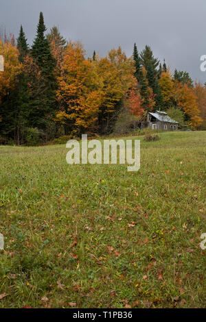 Buntes Herbstlaub um einen Ahorn Sugarhouse in ein grünes Feld, Dreieich, Essex County, Vermont, USA Stockfoto