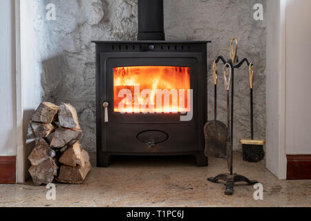 Holz Brennen in einem Kaminofen mit einem Stapel von Protokollen. Schottland Stockfoto