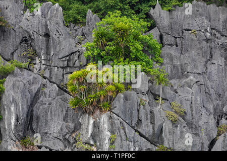 Rock Islands in der Nähe von schwimmenden Dorf in der Halong Bay, Vietnam, Südostasien. Stockfoto