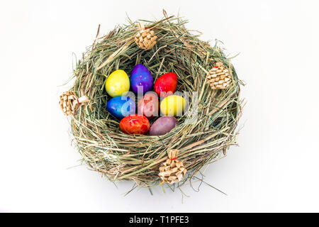 Farbige Ostern Wachteleier in Gras Nest mit Beulen Stockfoto