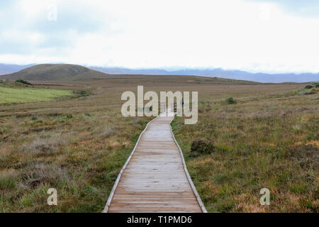 Bogland in Irland - Person auf dem Holzsteg über Torf im Nationalpark in Ballycroy, County Mayo, Irland Moor. Stockfoto