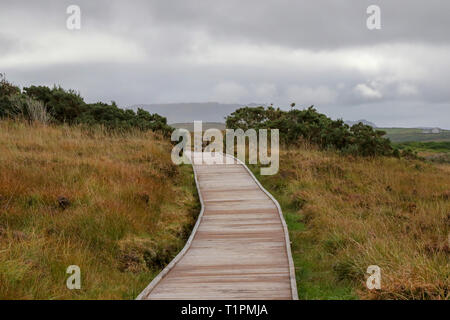 Holzsteg über Torf bogland in Irland, Ballycroy auf einem grauen Herbsttag. Stockfoto