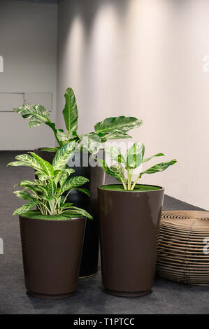 Moderne aus der Mitte des letzten Jahrhunderts und minimalistischen Interieur der Wohnzimmer Stockfoto