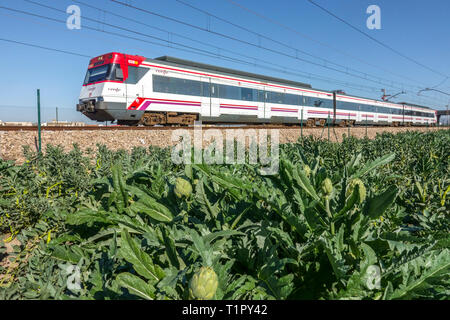 Cercanias - Personenzug, der durch eine landwirtschaftliche Landschaft mit Artischocken fährt Spanien Landwirtschaftsfeld Valencia Spanien Zug S-Bahn Pendler Stockfoto