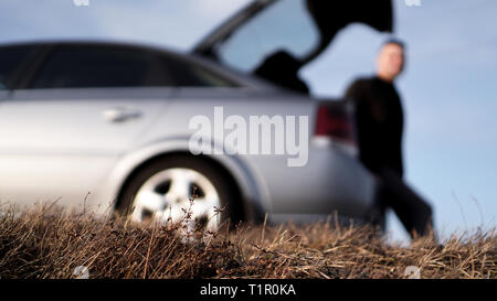 Sde Blick auf junge Unternehmer in Brillen auf Auto Kofferraum in der Natur sitzen - verschwommenen Hintergrund für Banner Stockfoto