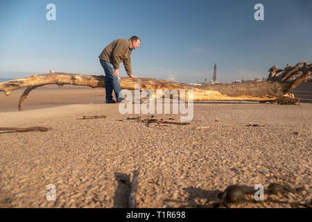 Blackpool, Lancashire. 28. März, 2019. Wetter news. Einen schönen Frühling Morgen in Blackpool heute mit der Ebbe ein Hugh Baum an Land gespült wurde, Lust auf ein bisschen beachcombing für einige Treibholz an diesem Morgen. Credit: Gary Telford/Alamy leben Nachrichten Stockfoto