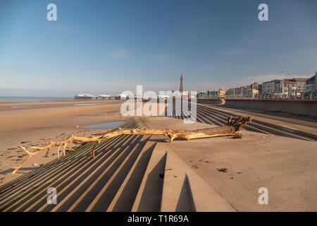 Blackpool, Lancashire. 28. März, 2019. Wetter news. Einen schönen Frühling Morgen in Blackpool heute mit der Ebbe ein Hugh Baum an Land gespült wurde, Lust auf ein bisschen beachcombing für einige Treibholz an diesem Morgen. Credit: Gary Telford/Alamy leben Nachrichten Stockfoto