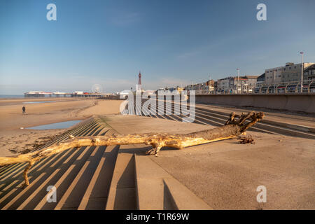 Blackpool, Lancashire. 28. März, 2019. Wetter news. Einen schönen Frühling Morgen in Blackpool heute mit der Ebbe ein Hugh Baum an Land gespült wurde, Lust auf ein bisschen beachcombing für einige Treibholz an diesem Morgen. Credit: Gary Telford/Alamy leben Nachrichten Stockfoto