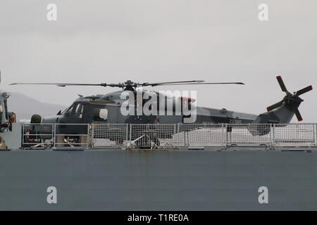 ZZ 396, ein AgustaWestland AW159 Wildcat HMA 2 von der Royal Navy betrieben, an Bord der HMS Defender (D36), eine gewagte-Klasse (Typ 45) destroyer. Stockfoto