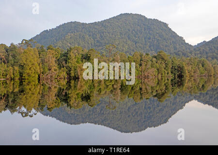 Reflexionen auf dem Gordon River Stockfoto