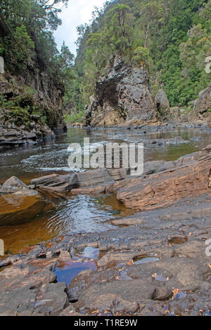 Rock Island Bend am Franklin River Stockfoto