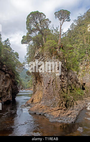 Rock Island Bend am Franklin River Stockfoto