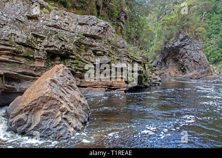 Rock Island Bend am Franklin River Stockfoto