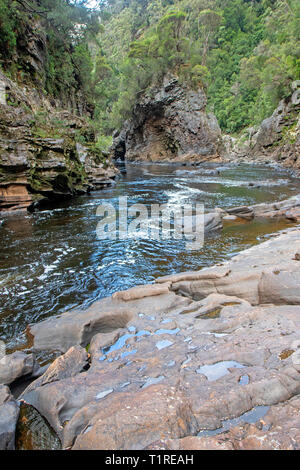 Rock Island Bend am Franklin River Stockfoto