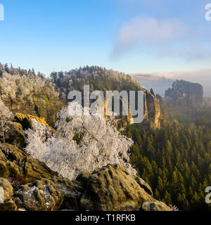 Sächsische Schweiz im Winter in der Nähe von Schmilka. Tolle Farben bei Sonnenuntergang. Stockfoto