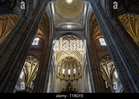 Sept 2018 - Segovia, Castilla y Leon, Spanien - Segovia Kathedrale Interieur. Es war die letzte gotische Kathedrale in Spanien gebaut, während der 16. Stockfoto