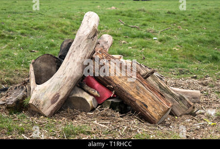 Alte Baumstämme und Holz nach einer Flut ausgewaschen Stockfoto