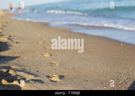 Strand reisen - Menschen einen entspannenden Spaziergang am Strand hinterlassen Spuren im Sand Stockfoto