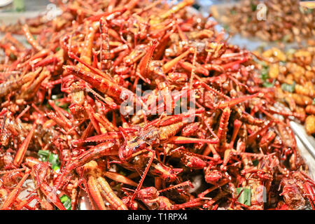 Exotische Lebensmittel - gebratene Heuschrecken. Street Food in Thailand Stockfoto